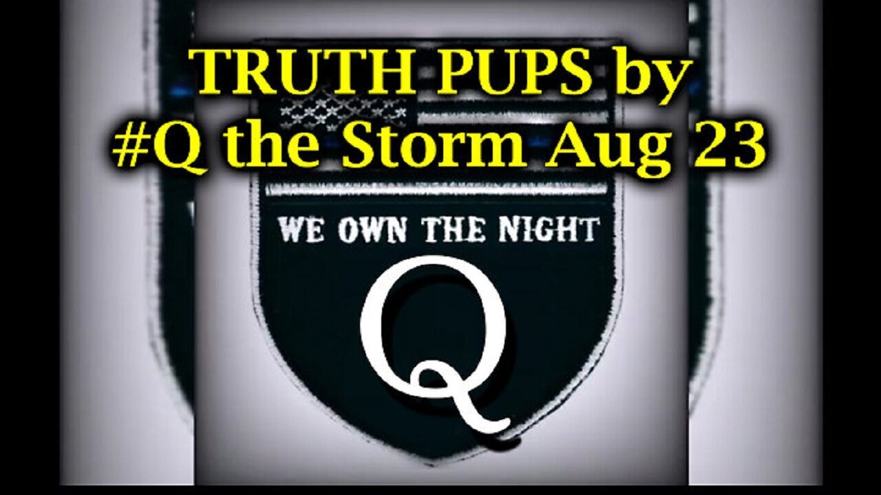 TRUTH PUPS by #Q the Storm Aug 23, 2Q24