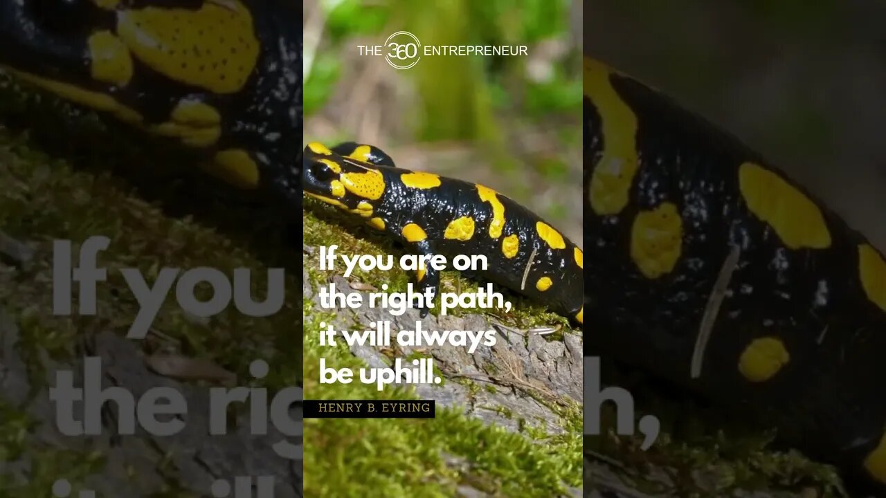 How to Know if You're on the Right Path #shorts