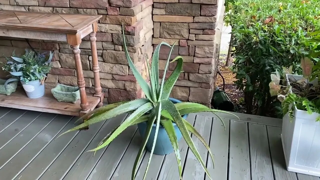 Decorating the front porch for autumn season