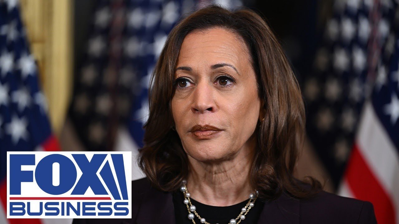 'CRUCIAL MOMENT': Democrat warns Harris about 'strategic tariffs'| TN ✅