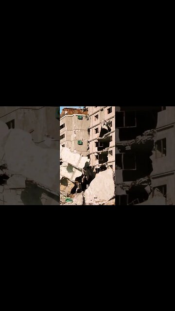 Is better to be a warrior in the garden than a gardener in the war - Joe Rogan #shorts #motivation