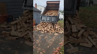 Wood Dump in all it's Glory - Winter Is Coming