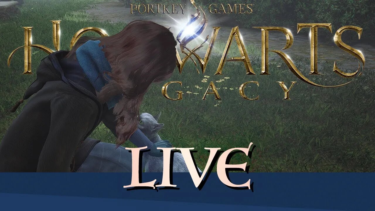 To Completion | Hogwarts Legacy pt34 | LIVE | Let's Play