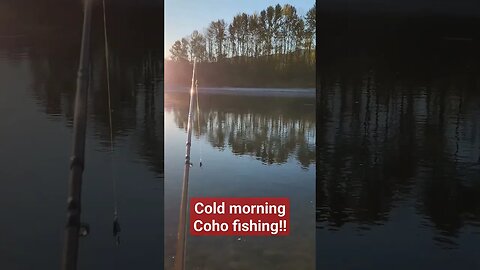 Cold morning on the nooksack river Coho Fishing! #cohosalmon