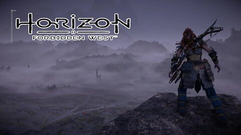 I HAVE MY QUEST | Horizon Forbidden West