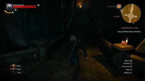 The Witcher 3: Wild Hunt_11