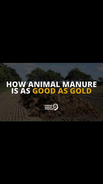 How Animal Manure Is as Good as Gold #shorts