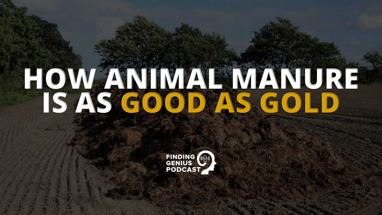 How Animal Manure Is as Good as Gold #shorts