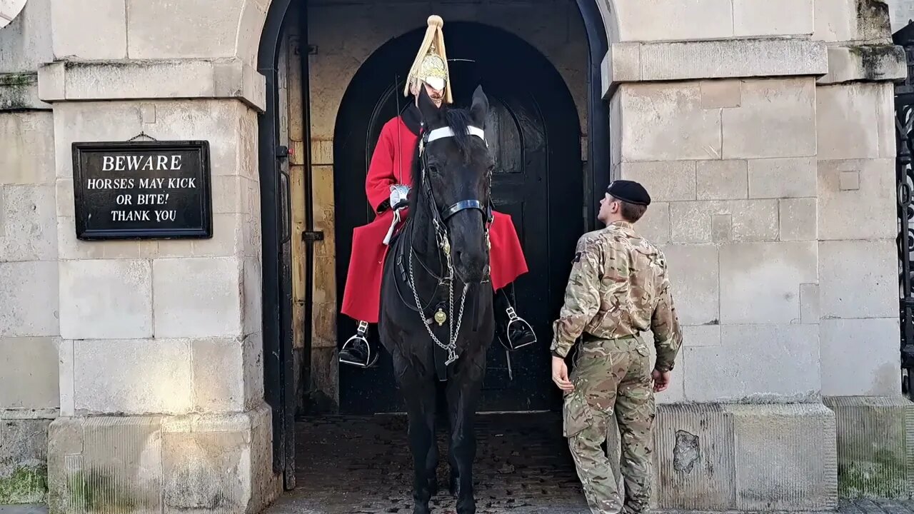 HORSE STILL IN A BAD MOOD TRYS TO BITE SOLDIER AND TOURIST #horseguardsparade (ARNI THETOURISTHATER)