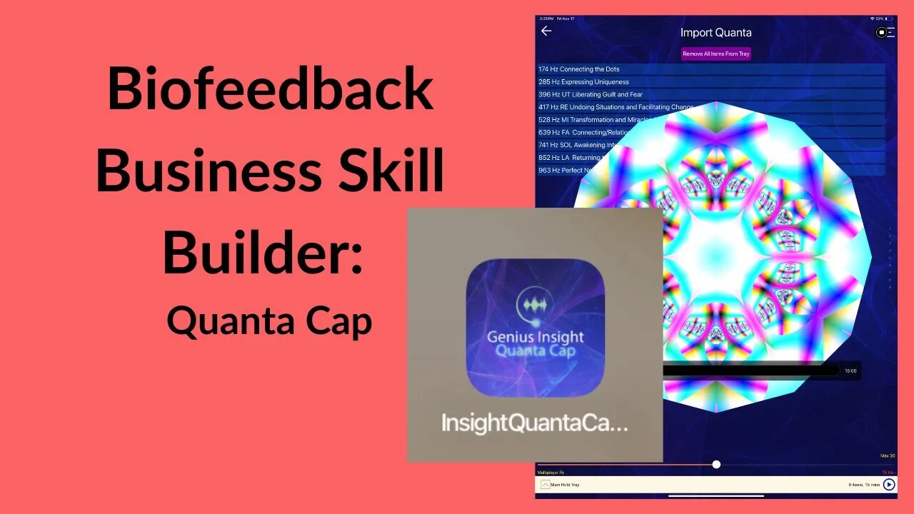 Biofeedback Business Skill Builder: How To Make Your Business Thrive