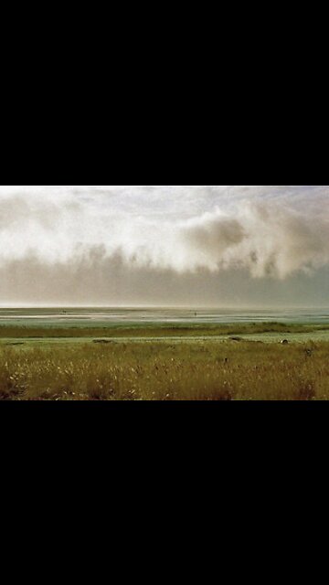 You don’t see this very often