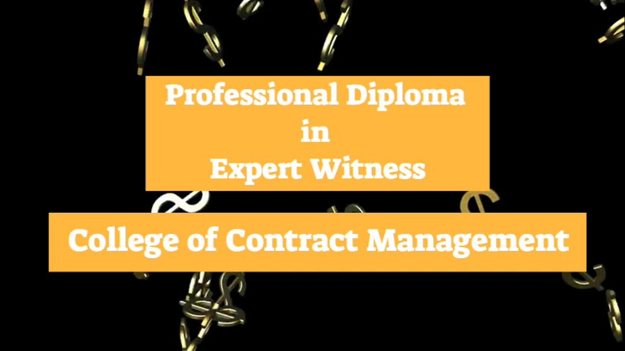 Expert Witness |