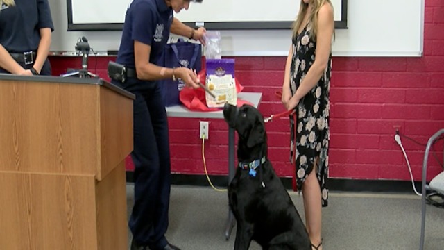 PUPPY POWER! Hero dog honored by Mesa Fire Department - ABC15 Digital