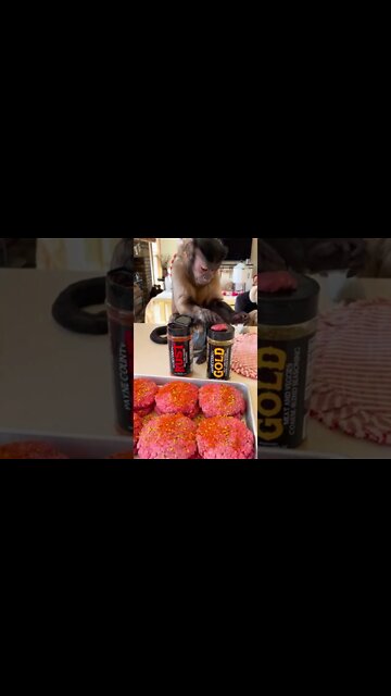 Saturday burger making!!! With our fav spices!!! Payne County Rust stuff!!! #Shorts