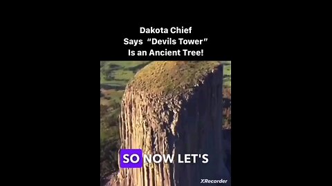 Devil's Tower / Remains of an ancient Tree