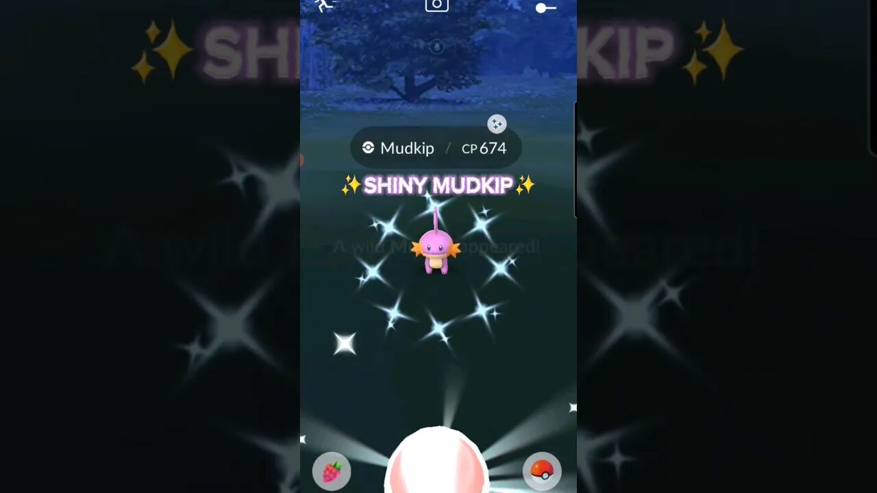 #shiny #mudkip #pokemon #shinypokemon #pokemongo #letsgo #shinyhunting #fyp #shinymudkip #foryou