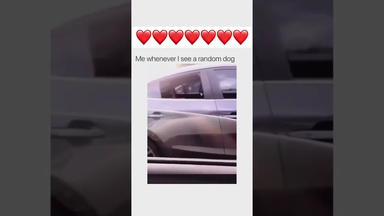 The dog smiled and said really? #shorts #viral #shortvideo #subscribe #reels #funny #dog