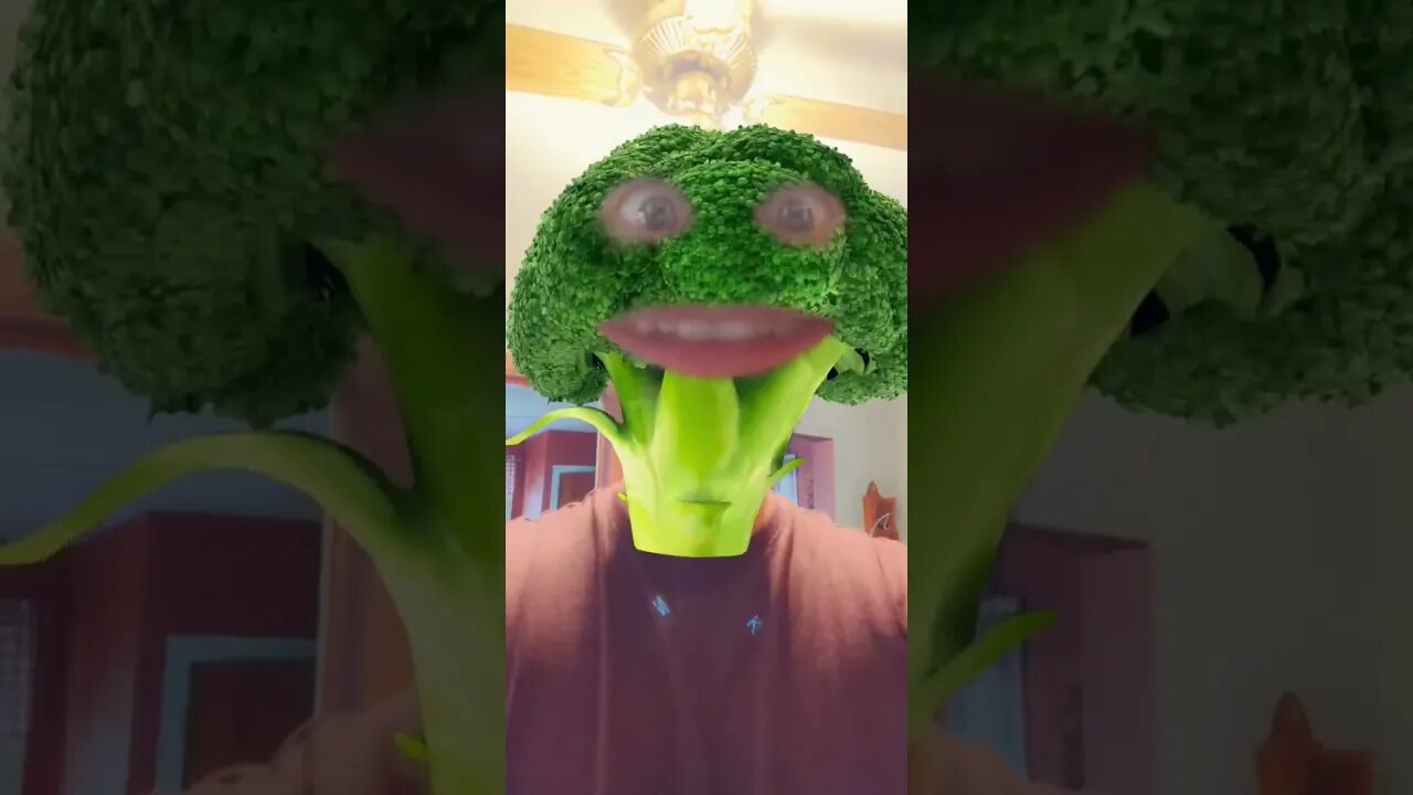 the Real Original broccoli Song * veggie tales *