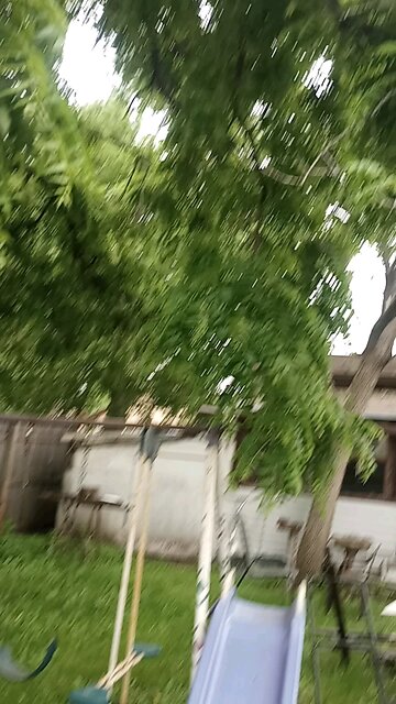 the red head bird skipped sight again