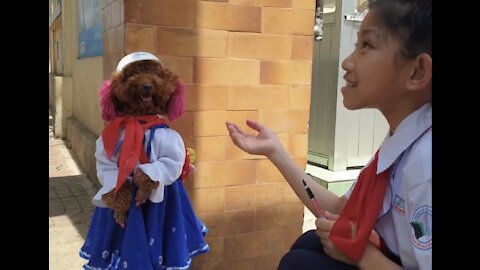 First day Puppy goes to School