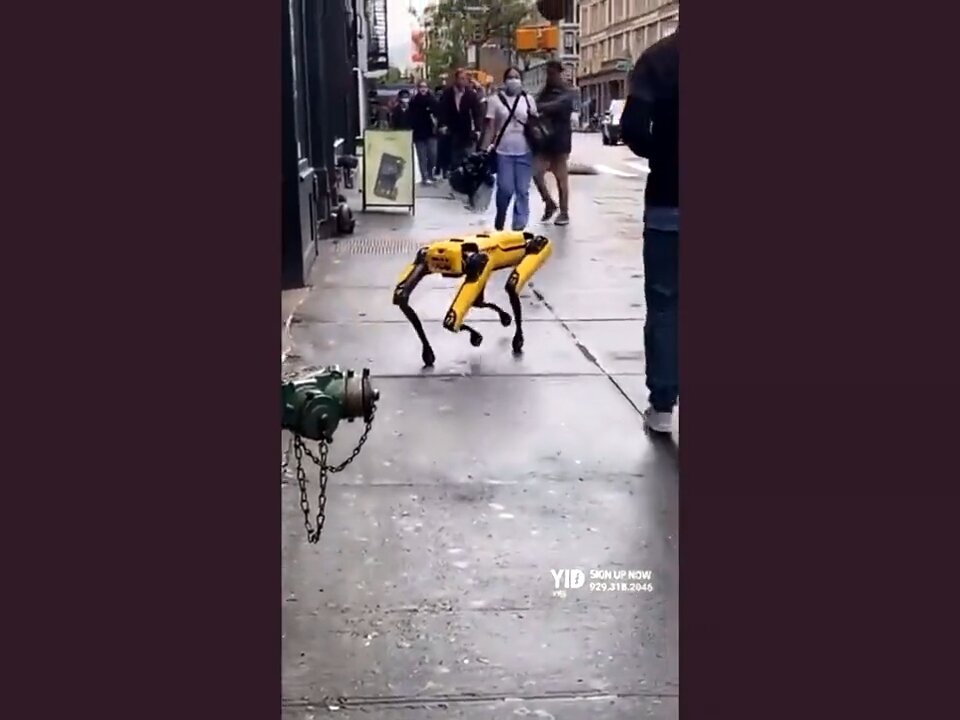 Robot on the street - the inverted idiots laugh - When they attack you you won't be amused!