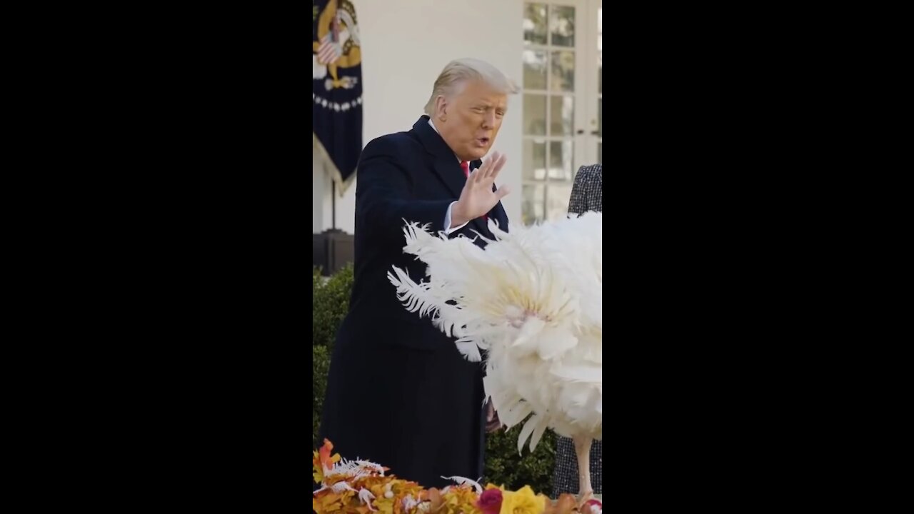 π₯πΊπΈ Donald Trump Edit πΊπΈπ₯