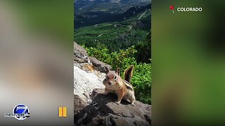 High-elevation chipmunk and an Empire rainbow: Our Colorado through your photos