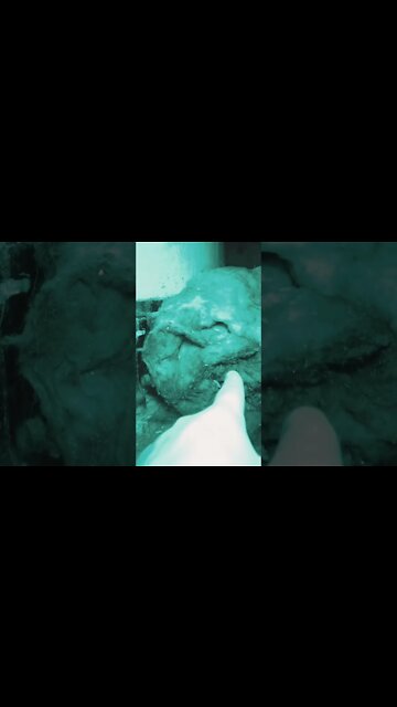 WHAT IS THIS?! 😮 #paranormal