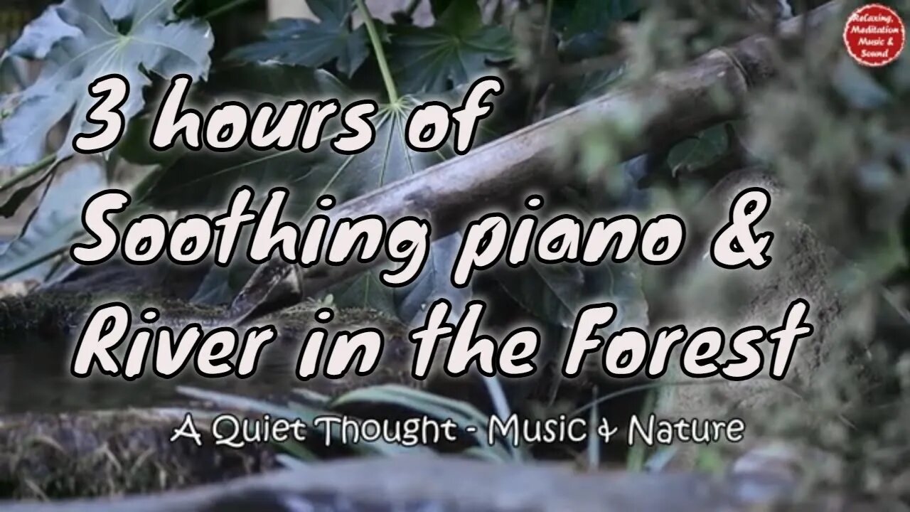 Soothing music with piano, river and forest sound for 3 hours, music for focusing & meditation