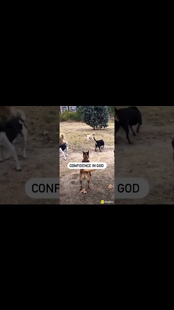 No Fear! 🔥💯🔥👍🏿(all things are possible) #amen #short #faith #motivation #viral #lifelessons