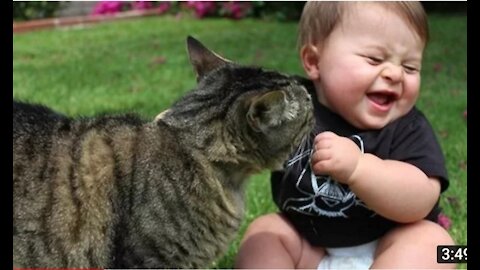 Kids laughing weirdly in cats compilation