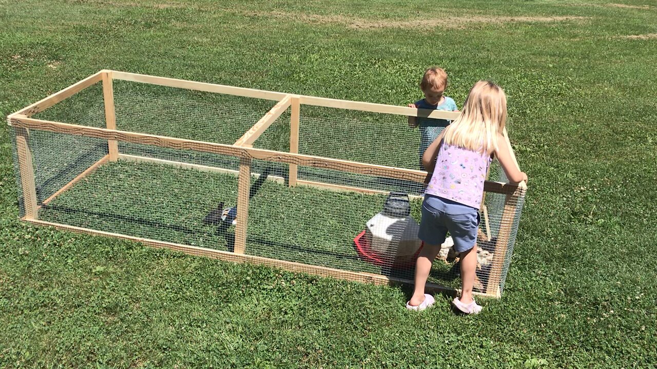 Chicken Tractor