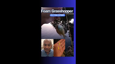 Foam Grasshopper Continues To Produce!