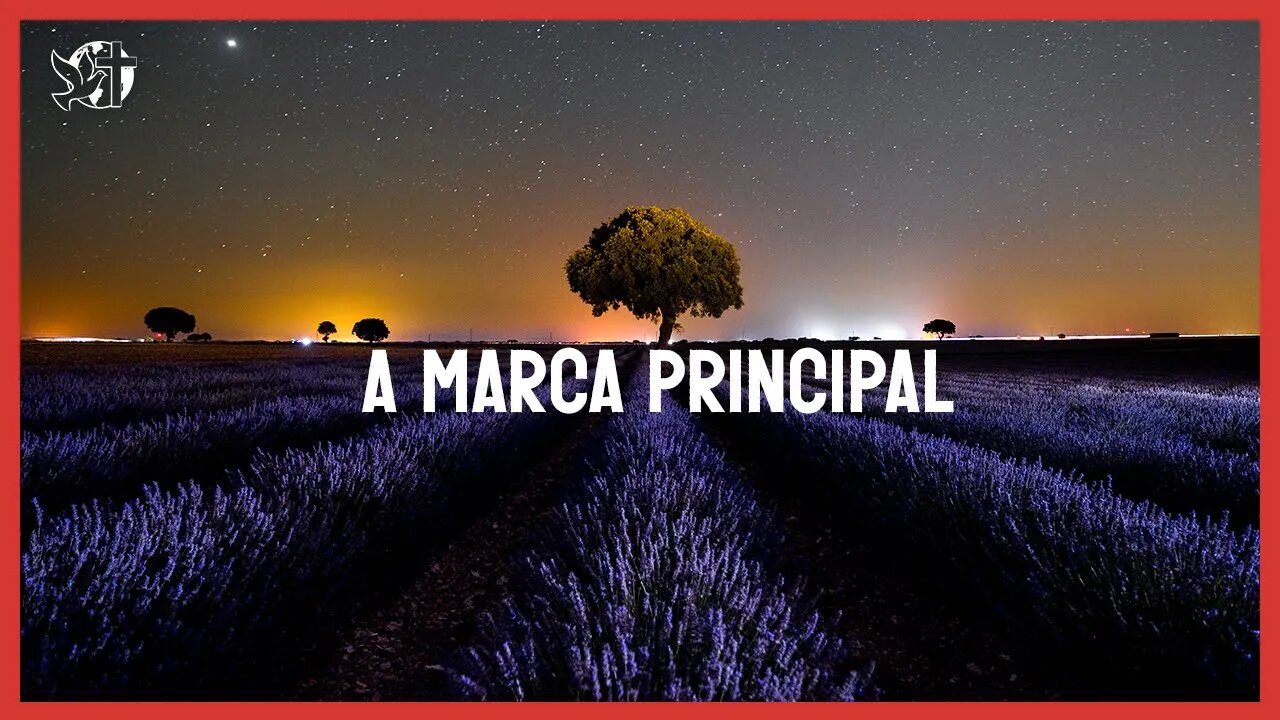 Série Caráter forte EP 156 | A MARCA PRINCIPAL | Bispa Cléo