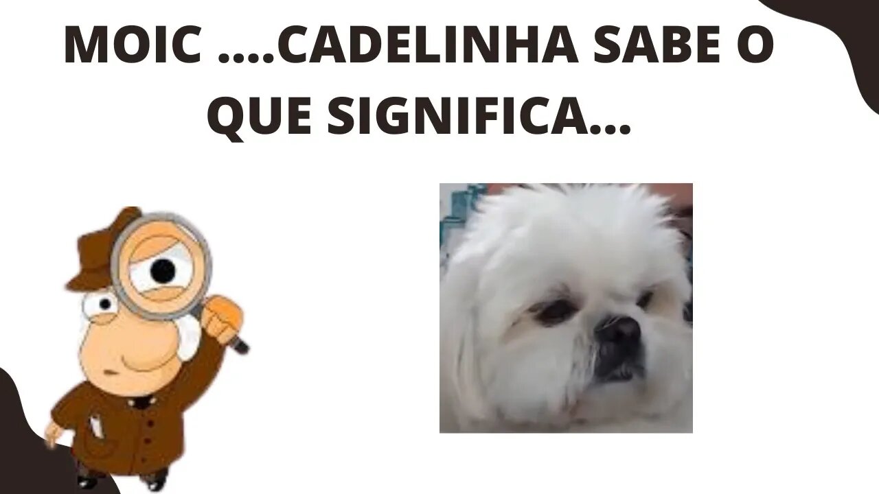 O QUE É MOIC