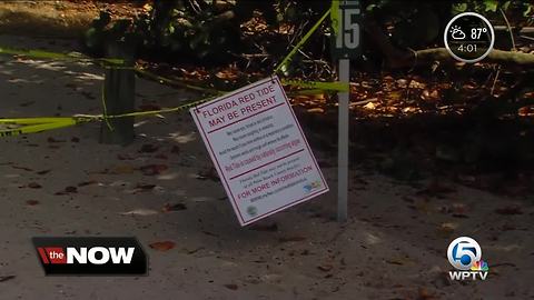 PBC removing dead fish from beaches