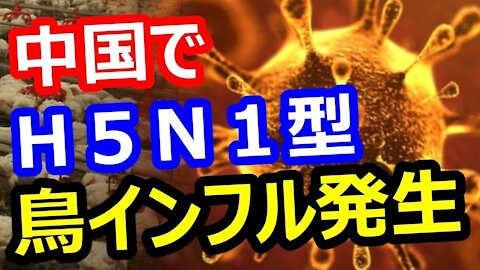 2020.02.03rkyoutube新型コロナウイルス戦争７ 黒幕は次に鳥インフルH5N1型で攻撃してくるのか？