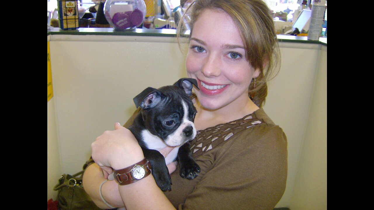 Baby BUGG Pug! CUTE!!!