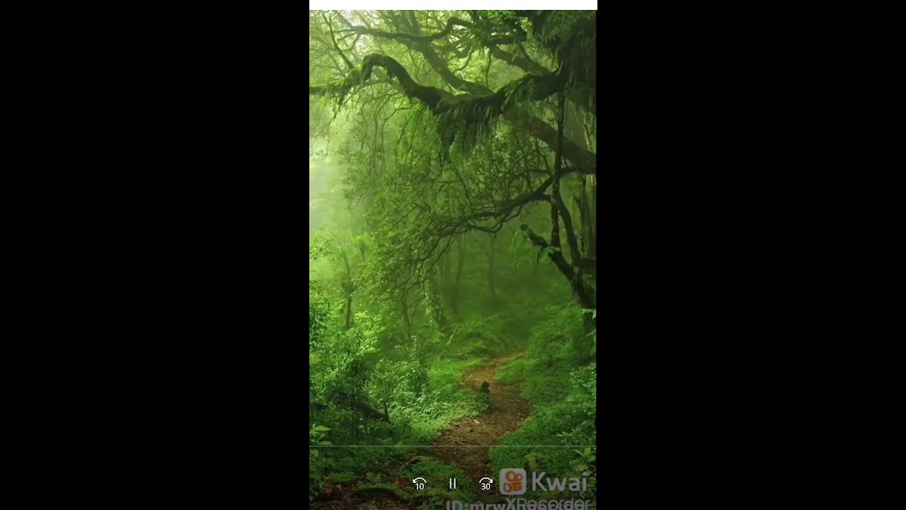 Nature's message