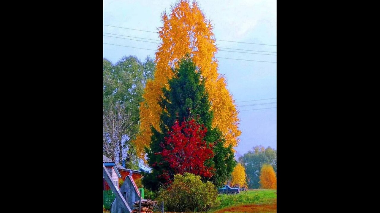 Shelkovo, Moscow region.