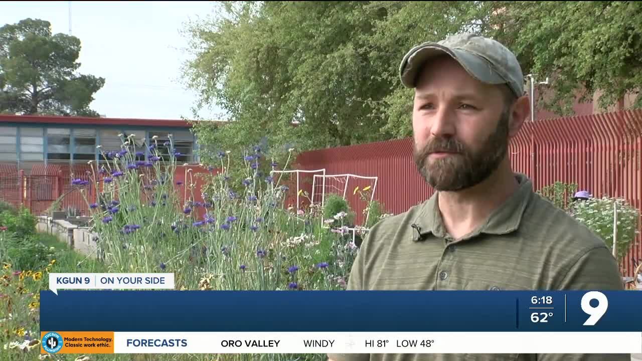 Growing interest in Tucson community gardens