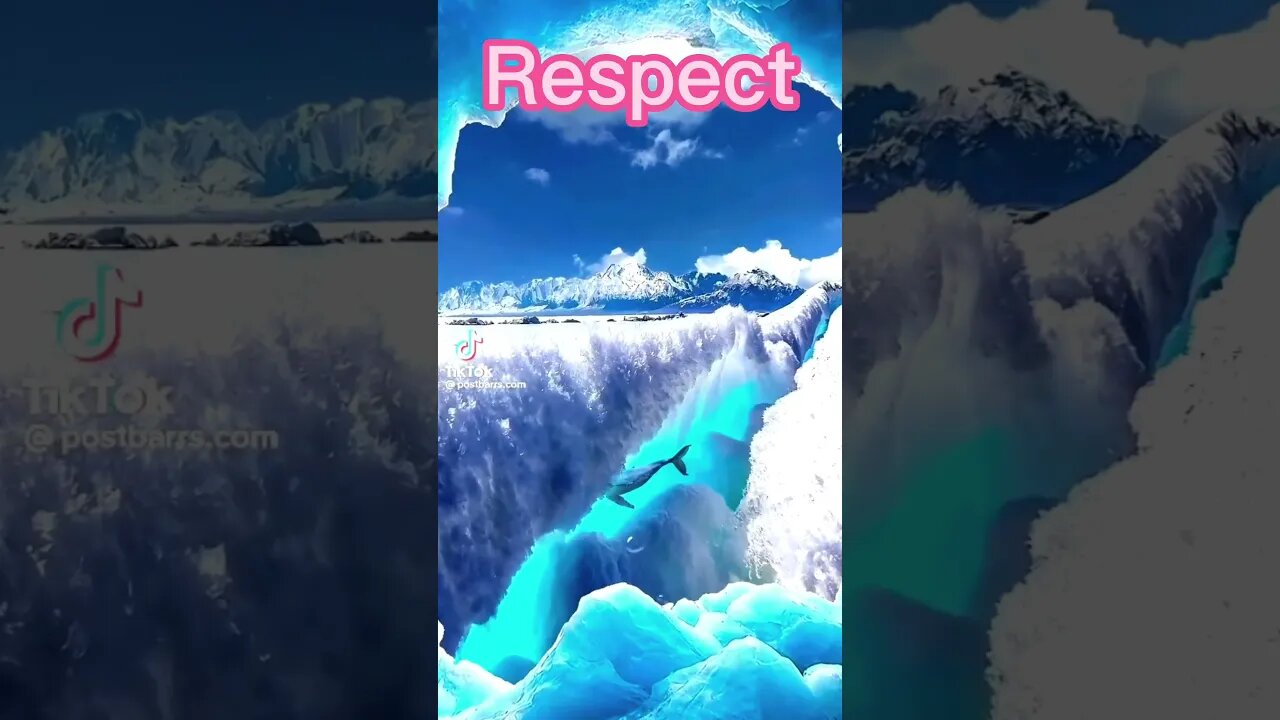 Blue whale diving in the sea #Sea #Respect#ocean #trending #beauty #youtubeshorts