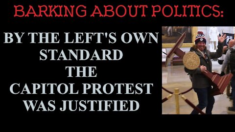 Barking About Politics: By The Left's Own Standard The Capitol Protest Was Justified