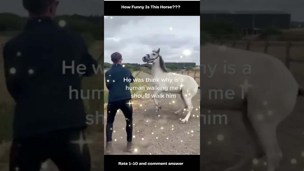 Funny TikTok Test Video 1