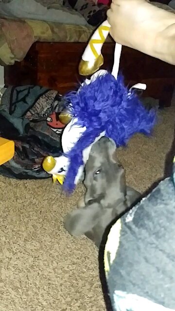 When You Want to Sleep But...