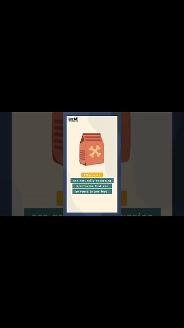 Are you aware that Aflatoxins may be in your pet's food? #dog #doghealth #concerneddogmom