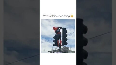 spiderman 😂🤣