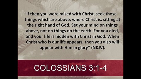 Seek, Set, Sacrifice, and Soar "The Book Of Colossians"