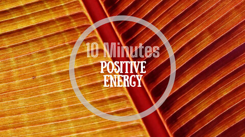 10 min Meditation Session ~ POSITIVE ENERGY VIBRATIONS