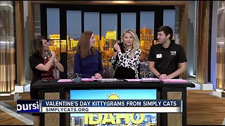 GMI gets a "kitty gram"